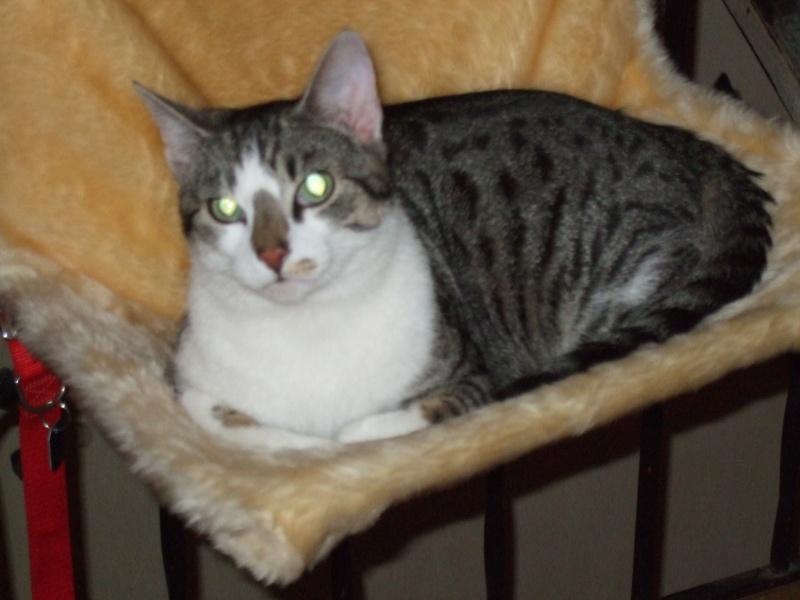 Ostern 2007 Orleshausen 099 